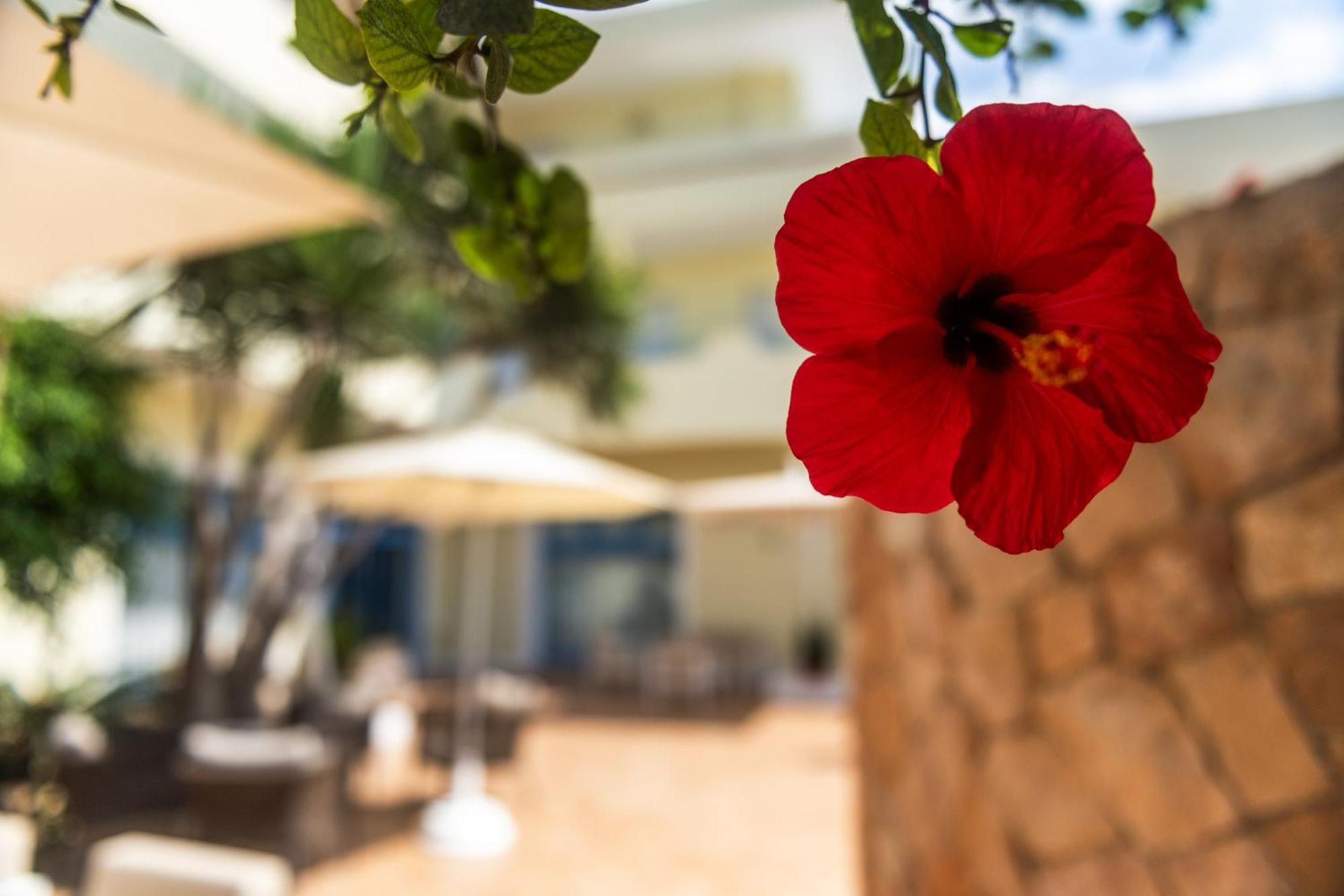 Hotel Baia Turchese Đảo Đảo Lampedusa Ngoại thất bức ảnh